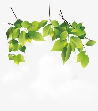 春天精美的树叶花纹免抠