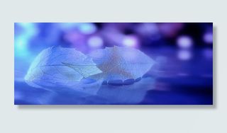 树叶素材轮播图片下载高清