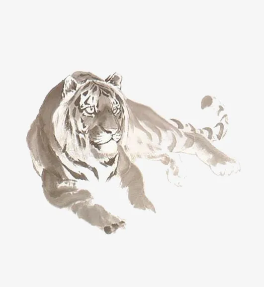 卧着的虎免抠