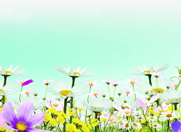 春天手绘花朵花瓣装饰免抠