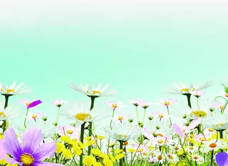 春天手绘花朵花瓣装饰免抠