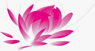 粉红色 花 莲蓬 矢量免抠