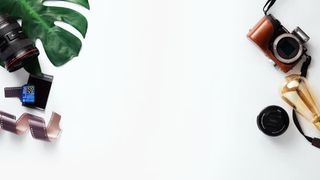 绿叶照相机胶卷镜头免抠