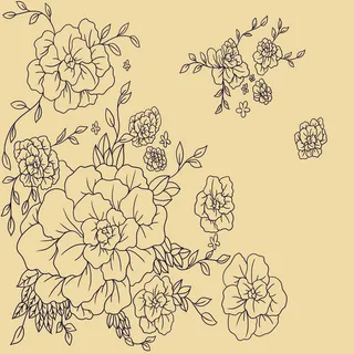 图案设计彩印花边A160免抠