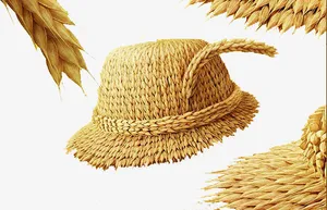 麦子免抠