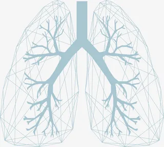 卡通器官矢量免抠