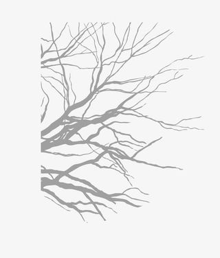 矢量黑色线条枯木枯枝免抠