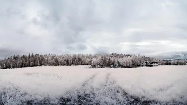 白雪冬日草地冬日免抠