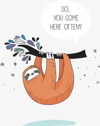 吊在树枝上的树懒免抠