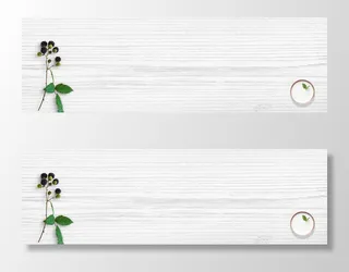 简约大气文艺banner高清