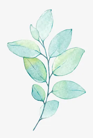 卡通绿叶装饰手绘文艺小清新免抠