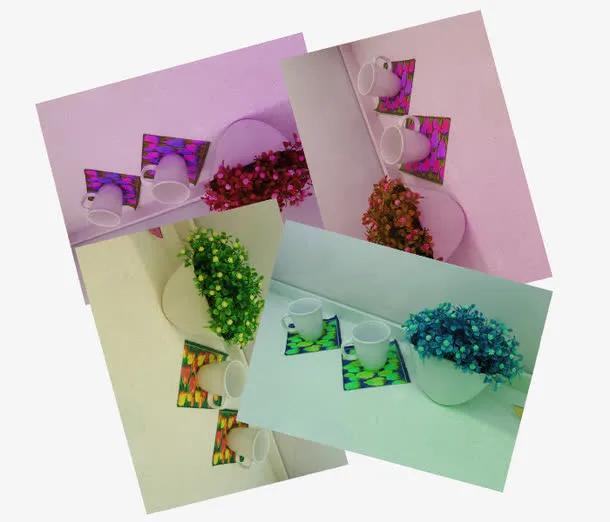 实物多色盆景照片免抠