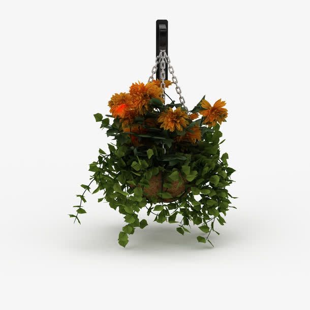 黄色吊篮花免抠