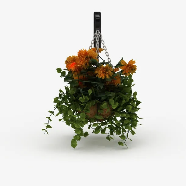 黄色吊篮花免抠