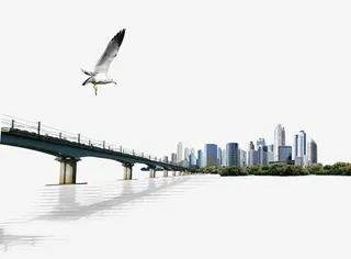 跨海大桥海鸥城市免抠