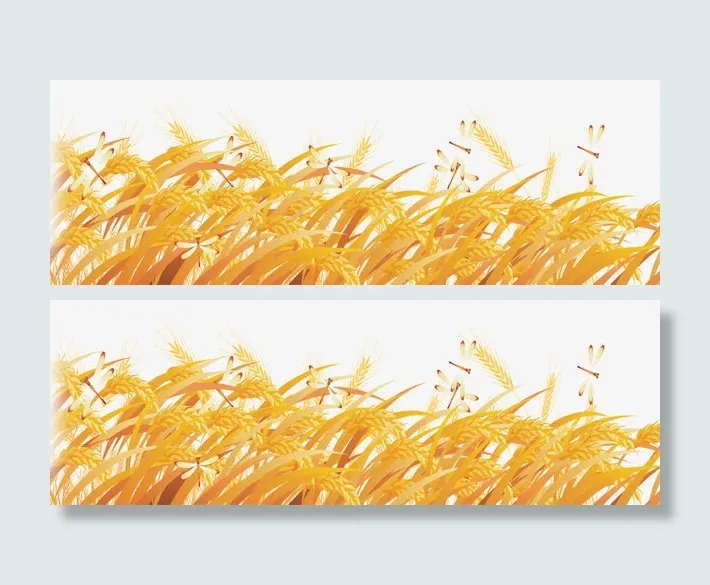 秋天麦穗免抠