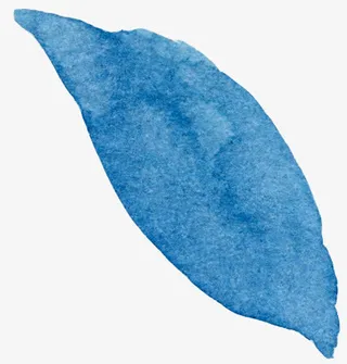 蓝色水墨叶子免抠