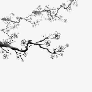 水墨梅花png素材免抠