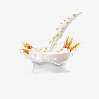 矢量卡通牛奶泡燕麦粒免抠