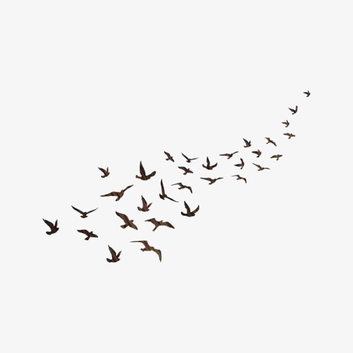飞翔的大雁免抠