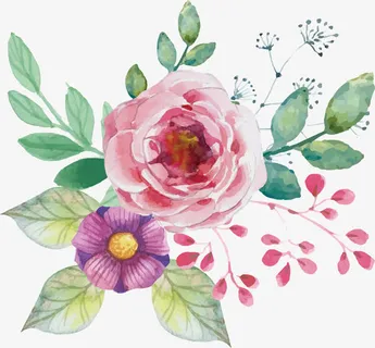 水彩粉色山茶花束免抠