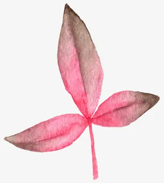 童话水墨手绘植物花卉免抠