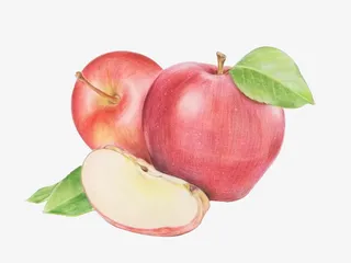 彩铅苹果素材免扣PNG免抠