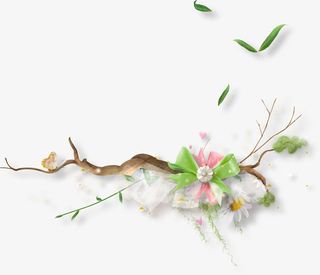 树枝树叶免抠