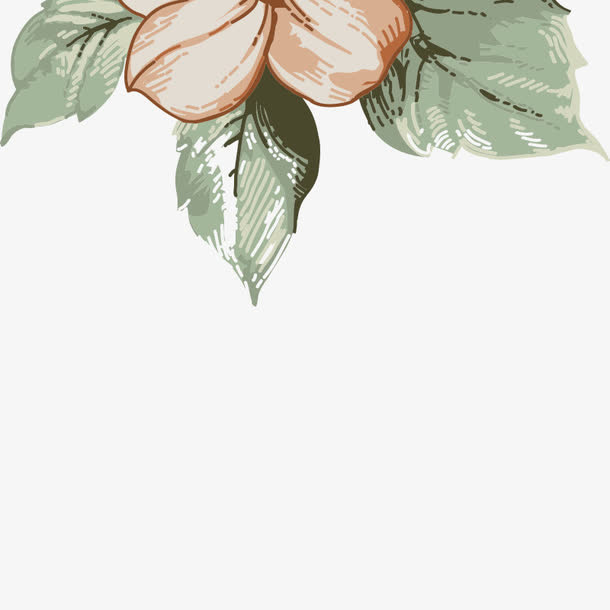 手绘花朵 装饰花 花 唯美 花瓣免抠