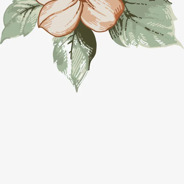 手绘花朵 装饰花 花 唯美 花瓣免抠