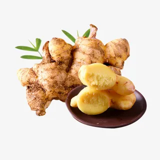 生姜广告设计素材免抠