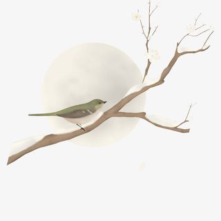 霜降节气树枝雪花小鸟装饰下载免抠