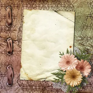 相片与鲜花背景