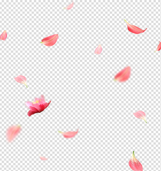 花瓣，png，红色免抠
