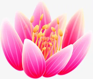 手绘红粉色鲜花装饰免抠