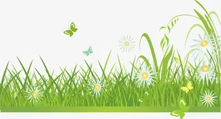 春天绿色茂密草丛免抠