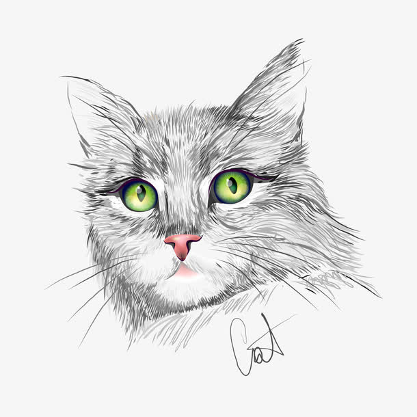 矢量手绘小猫咪免抠