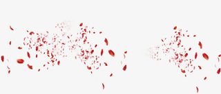 飘零花瓣装饰背景