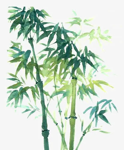 竹子免抠
