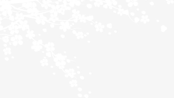 梅花白色花枝背景七夕情人节