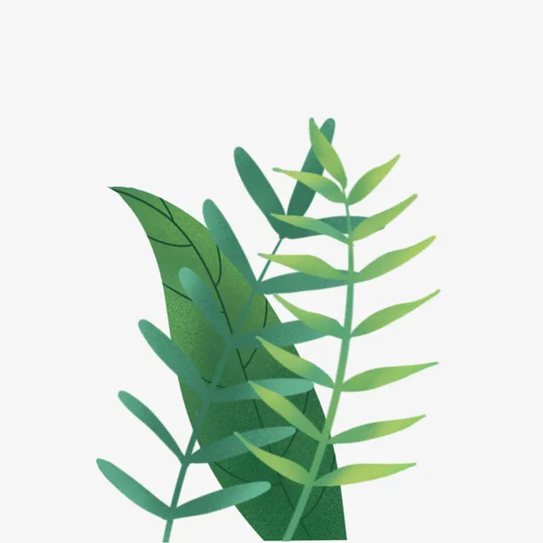 原创扁平植物插画素材免抠