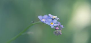 淘宝背景图高清