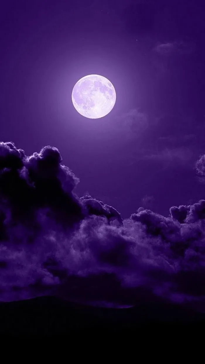 紫色月夜H5背景高清