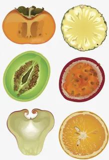水果矢量图免抠