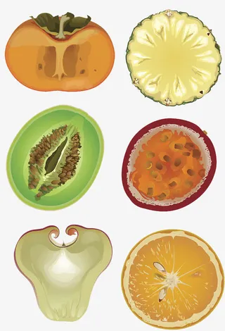 水果矢量图免抠