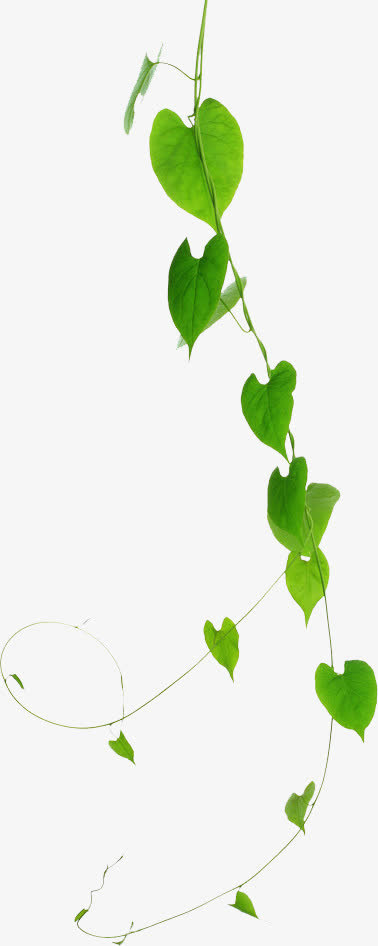 春天的植物效果树叶免抠