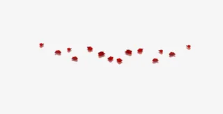 大红色花瓣装饰花边免抠