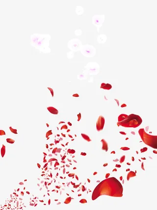 漂亮花朵花瓣免抠