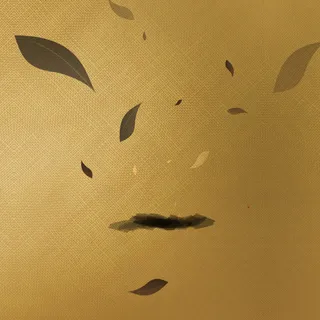 淘宝茶叶背景高清