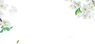 清新banner淘宝海报背景高清